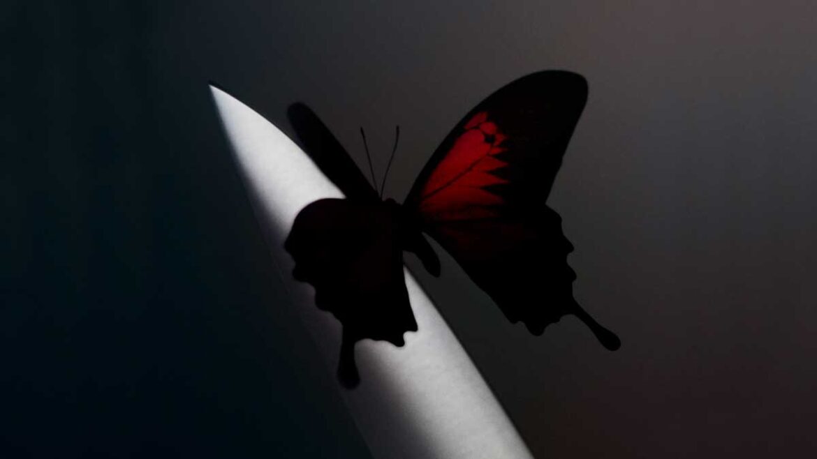 Post Malone estrena “Cooped Up” con Roddy Ricch