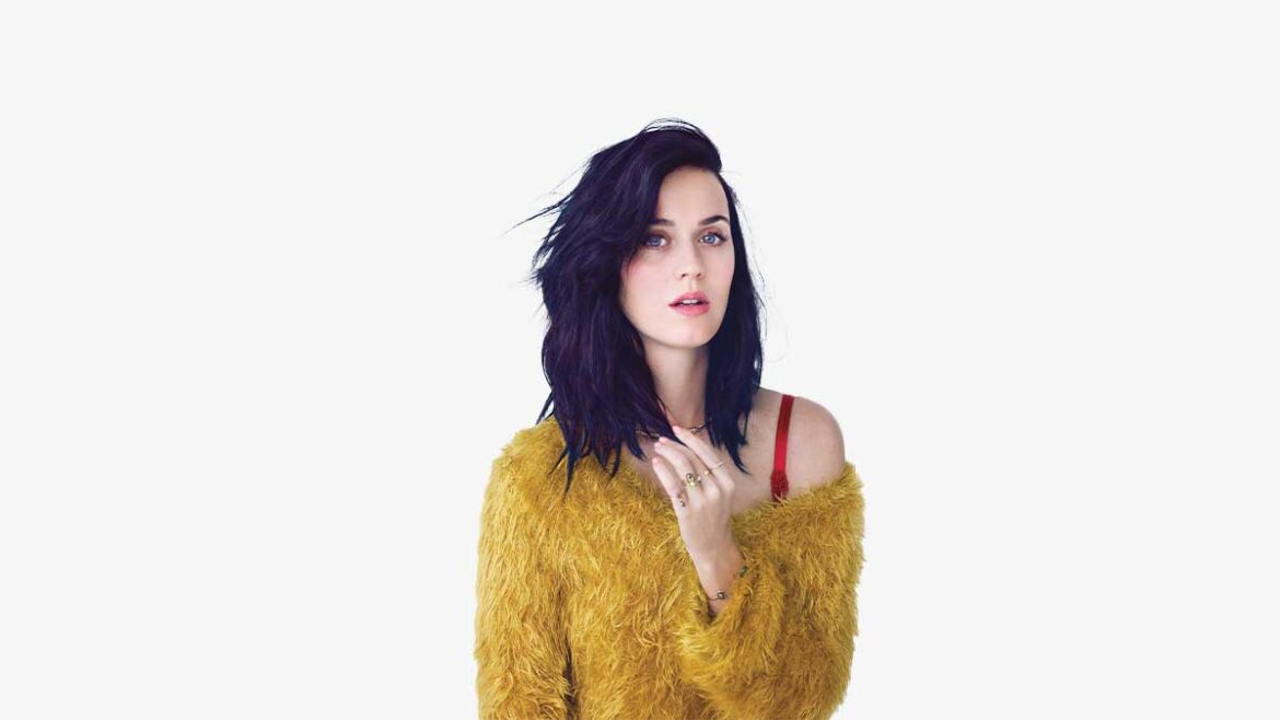 Katy Perry lanza de Katy Perry CATalog Collector's Edition Boxset