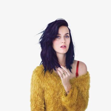 Katy Perry lanza de Katy Perry CATalog Collector's Edition Boxset