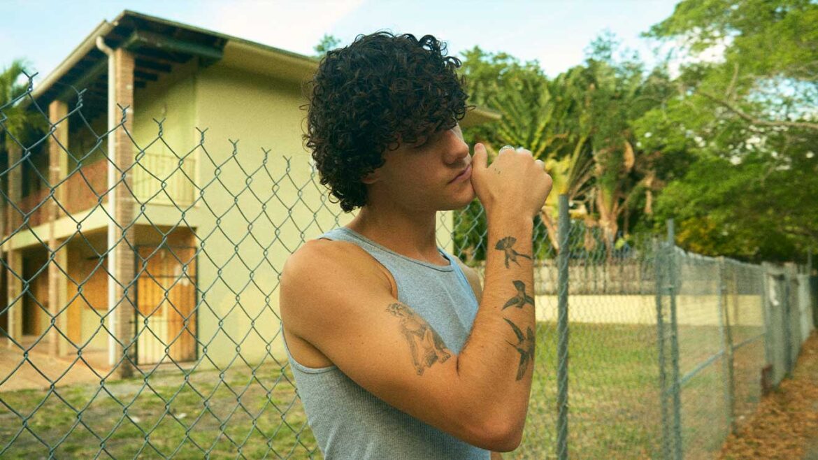 Fabian productor y cantante